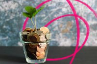 the image shows a glass cup that is full with coins, there is a green plant growing from the top