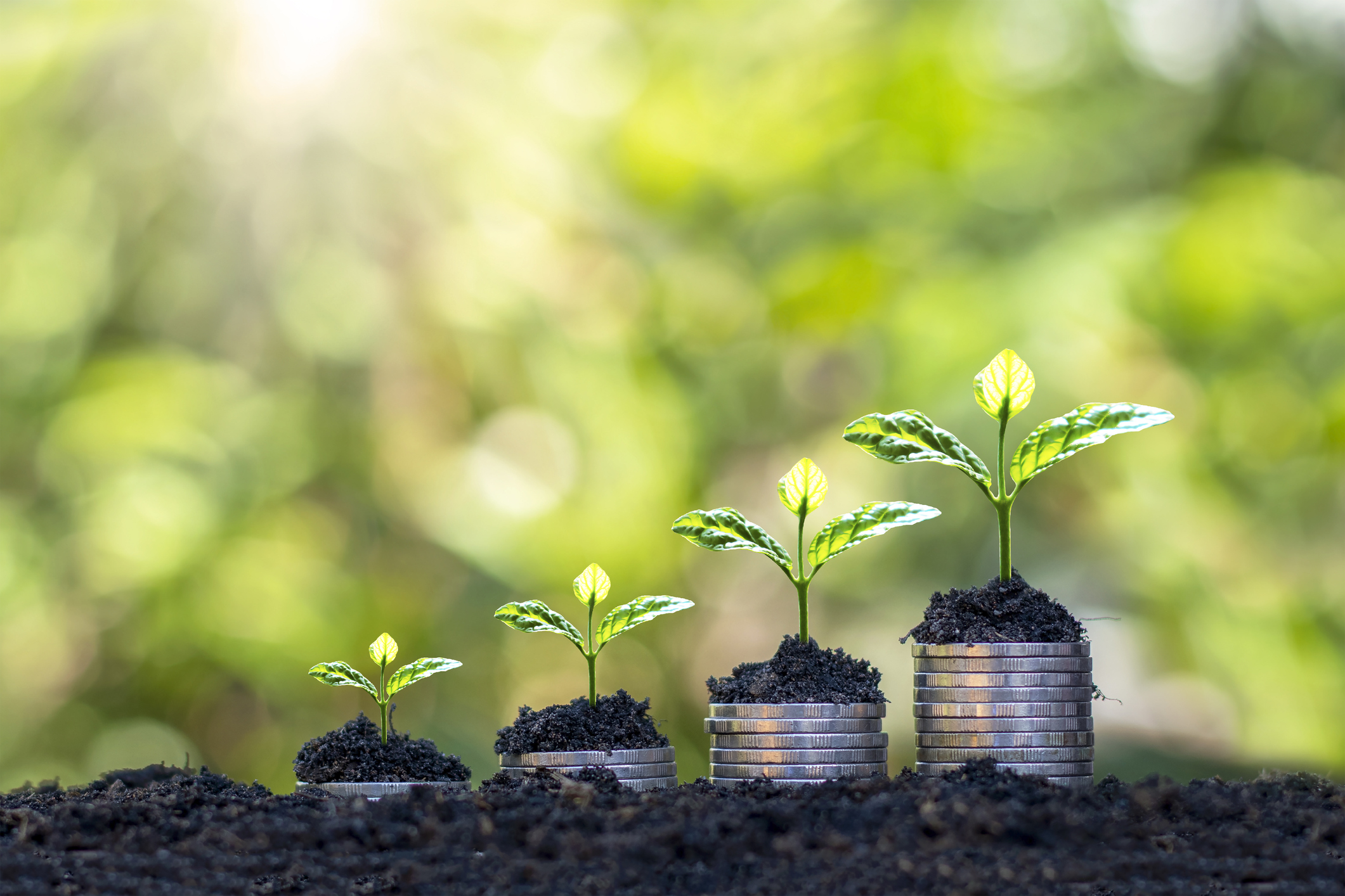 the image shows a glass cup that is full with coins, there is a green plant growing from the top