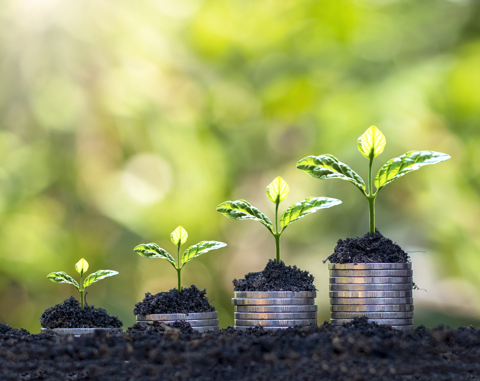 the image shows a glass cup that is full with coins, there is a green plant growing from the top