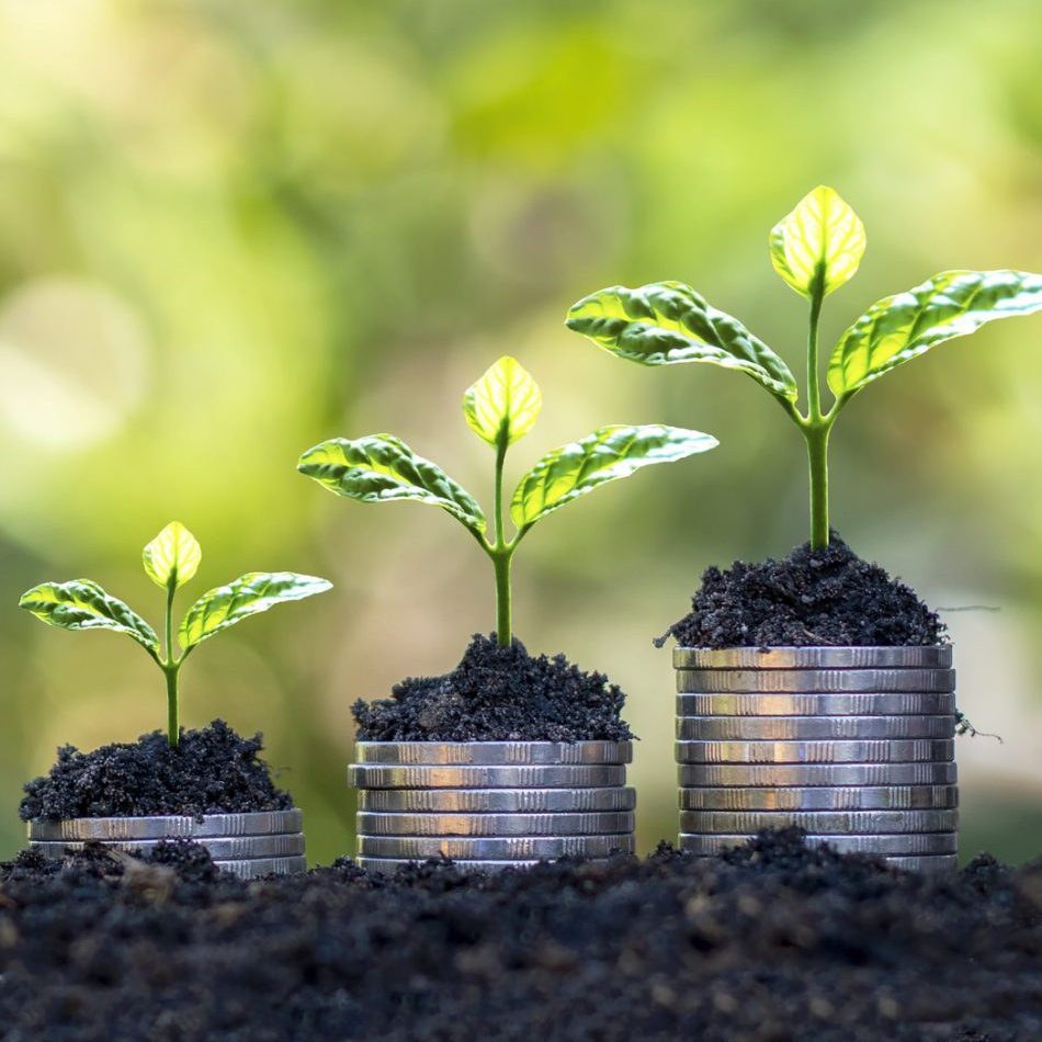 the photo shows four piles of coins on top of soil, with green plants emerging from the top of the coins
